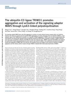 ni.3641-The ubiquitin E3 ligase TRIM31 promotes aggregation and activation of the signaling adaptor MAVS through Lys63-linked polyubiquitination