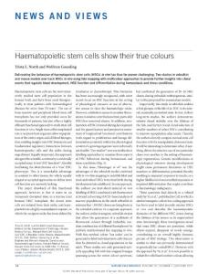 ncb3459-Haematopoietic stem cells show their true colours