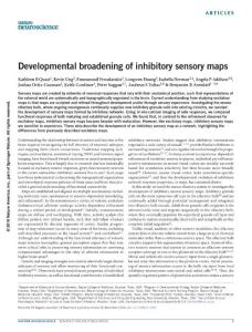 nn.4467-Developmental broadening of inhibitory sensory maps