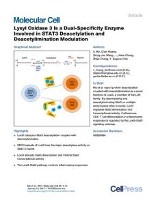 Molecular Cell-2017-Lysyl Oxidase 3 Is a Dual-Specificity Enzyme Involved in STAT3 Deacetylation and Deacetylimination Modulation