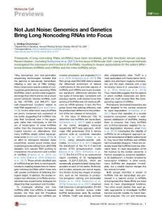 Molecular Cell-2017-Not Just Noise Genomics and Genetics Bring Long Noncoding RNAs into Focus