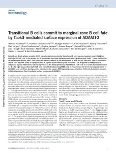 ni.3657-Transitional B cells commit to marginal zone B cell fate by Taok3-mediated surface expression of ADAM10