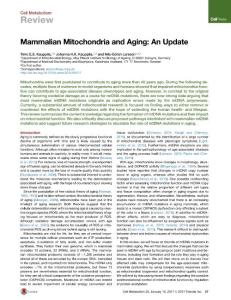 Cell Metabolism-2017-Mammalian Mitochondria and Aging An Update