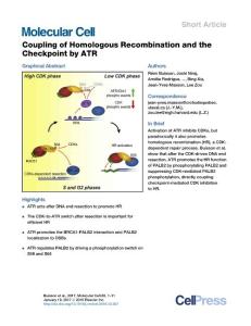 Molecular Cell-2017-Coupling of Homologous Recombination and the Checkpoint by ATR