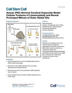 Cell Stem Cell-2017-Human iPSC-Derived Cerebral Organoids Model Cellular Features of Lissencephaly and Reveal Prolonged Mitosis of Outer Radial Glia