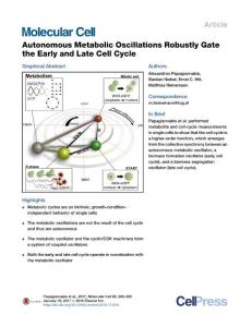 Molecular Cell-2017-Autonomous Metabolic Oscillations Robustly Gate the Early and Late Cell Cycle