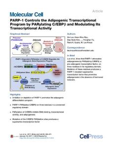 Molecular Cell-2017-PARP-1 Controls the Adipogenic Transcriptional Program by PARylating C-EBPβ and Modulating Its Transcriptional Activity