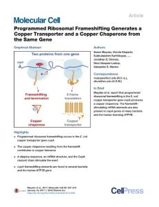 Molecular Cell-2017-Programmed Ribosomal Frameshifting Generates a Copper Transporter and a Copper Chaperone from the Same Gene