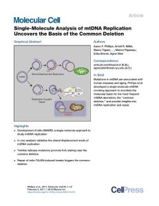 Molecular Cell-2017-Single-Molecule Analysis of mtDNA Replication Uncovers the Basis of the Common Deletion