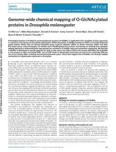 nchembio.2247-Genome-wide chemical mapping of O-GlcNAcylated proteins in Drosophila melanogaster