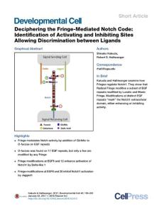 Developmental Cell-2017-Deciphering the Fringe-Mediated Notch Code- Identification of Activating and Inhibiting Sites Allowing Discrimination between Ligands