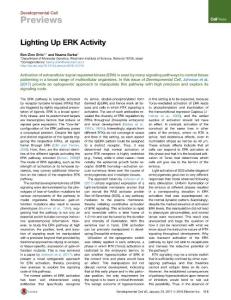 Developmental Cell-2017-Lighting Up ERK Activity