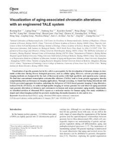 cr201718a-Visualization of aging-associated chromatin alterations with an engineered TALE system