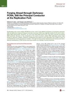 Molecular Cell-2017-Forging Ahead through Darkness PCNA, Still the Principal Conductor at the Replication Fork