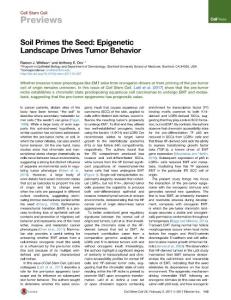 Cell Stem Cell-2017-Soil Primes the Seed Epigenetic Landscape Drives Tumor Behavior