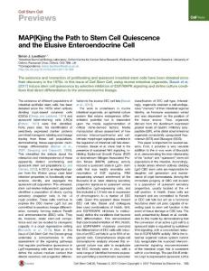 Cell Stem Cell-2017-MAP(K)ing the Path to Stem Cell Quiescence and the Elusive Enteroendocrine Cell