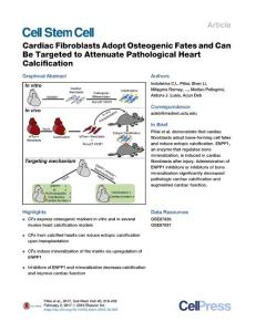 Cell Stem Cell-2017-Cardiac Fibroblasts Adopt Osteogenic Fates and Can Be Targeted to Attenuate Pathological Heart Calcification