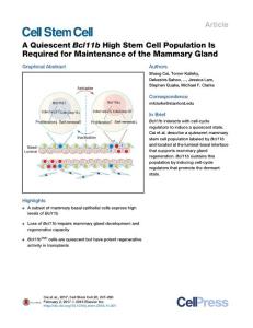 Cell Stem Cell-2017-A Quiescent Bcl11b High Stem Cell Population Is Required for Maintenance of the Mammary Gland