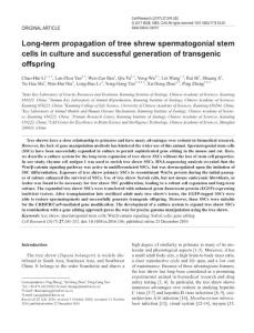 cr2016156a-Long-term propagation of tree shrew spermatogonial stem cells in culture and successful generation of transgenic offspring