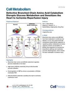Cell Metabolism-2017-Defective Branched-Chain Amino Acid Catabolism Disrupts Glucose Metabolism and Sensitizes the Heart to Ischemia-Reperfusion Injury
