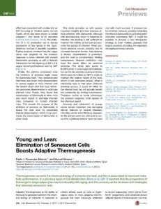 Cell Metabolism-2017-Young and Lean- Elimination of Senescent Cells Boosts Adaptive Thermogenesis