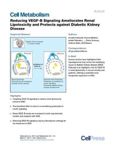 Cell Metabolism-2017-Reducing VEGF-B Signaling Ameliorates Renal Lipotoxicity and Protects against Diabetic Kidney Disease