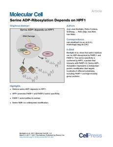 Molecular Cell-2017-erine ADP-Ribosylation Depends on HPF1