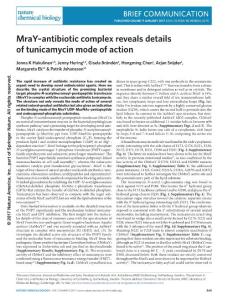 nchembio.2270-MraY–antibiotic complex reveals details of tunicamycin mode of action