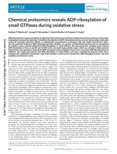 nchembio.2280-Chemical proteomics reveals ADP-ribosylation of small GTPases during oxidative stress