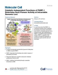 Molecular Cell-2017-Catalytic-Independent Functions of PARP-1 Determine Sox2 Pioneer Activity at Intractable Genomic Loci