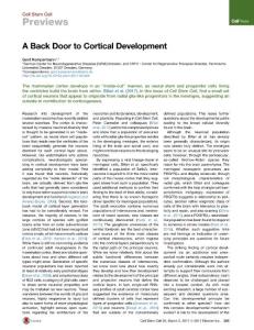 Cell Stem Cell-2017-A Back Door to Cortical Development