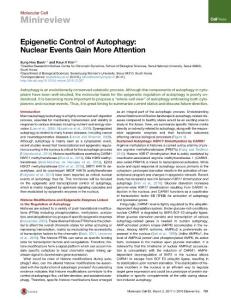 Molecular Cell-2017-Epigenetic Control of Autophagy Nuclear Events Gain More Attention