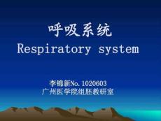 呼吸系统Respiratory