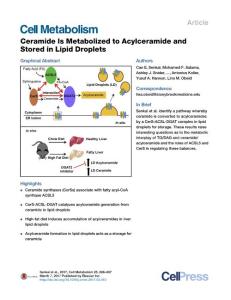 Cell Metabolism-2017-Ceramide Is Metabolized to Acylceramide and Stored in Lipid Droplets