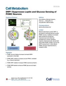Cell Metabolism-2017-DRP1 Suppresses Leptin and Glucose Sensing of POMC Neurons