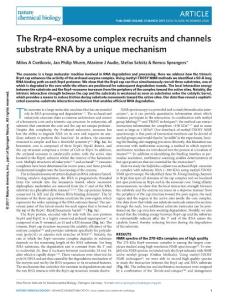 nchembio.2328-The Rrp4–exosome complex recruits and channels substrate RNA by a unique mechanism