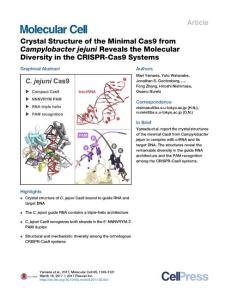 Molecular Cell-2017-Crystal Structure of the Minimal Cas9 from Campylobacter jejuni Reveals the Molecular Diversity in the CRISPR-Cas9 Systems