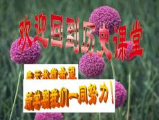 八年级 历史课件第1课  中国人民站起来了