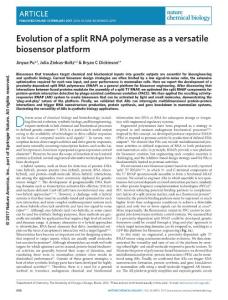 nchembio.2299-Evolution of a split RNA polymerase as a versatile biosensor platform