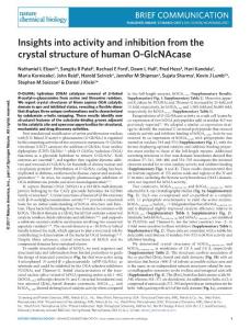 nchembio.2357-Insights into activity and inhibition from the crystal structure of human O-GlcNAcase