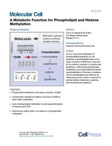 Molecular Cell-2017-A Metabolic Function for Phospholipid and Histone Methylation