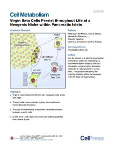 Cell Metabolism-2017-Virgin Beta Cells Persist throughout Life at a Neogenic Niche within Pancreatic Islets