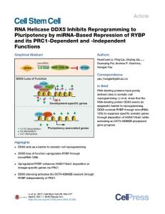 Cell Stem Cell-2017-RNA Helicase DDX5 Inhibits Reprogramming to Pluripotency by miRNA-Based Repression of RYBP and its PRC1-Dependent and -Independent Functions