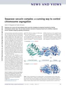 nsmb.3393-Separase–securin complex- a cunning way to control chromosome segregation