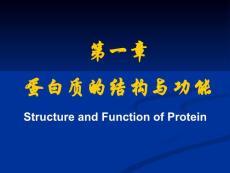 ◎蛋白质的结构与功能
