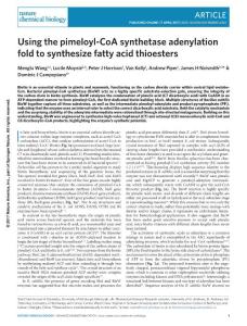 nchembio.2361-Using the pimeloyl-CoA synthetase adenylation fold to synthesize fatty acid thioesters