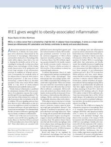 ni.3725-IRE1 gives weight to obesity-associated inflammation