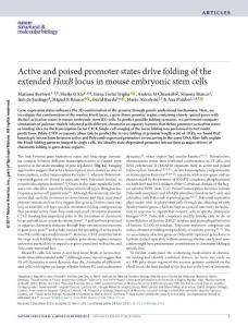 nsmb.3402-Active and poised promoter states drive folding of the extended HoxB locus in mouse embryonic stem cells