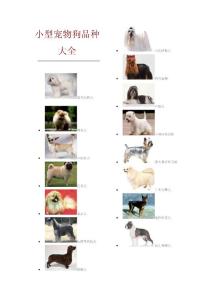 狗狗的品种及图片AAA