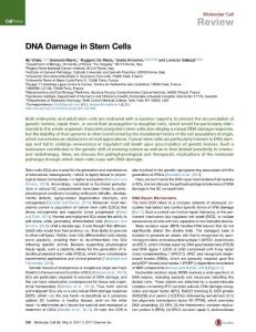Molecular Cell-2017-DNA Damage in Stem Cells